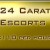Profile picture of 24Carat Escorts