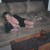 Profile picture of Sweet_Brandy
